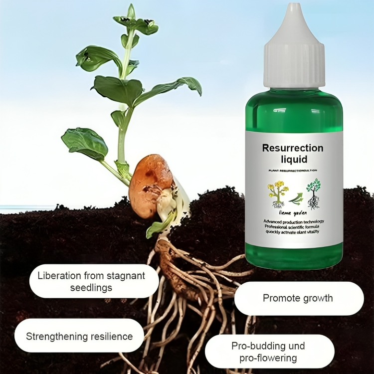 BotanicBoost™ | Biotin-infundiertes Pflanzenauferstehungselixier