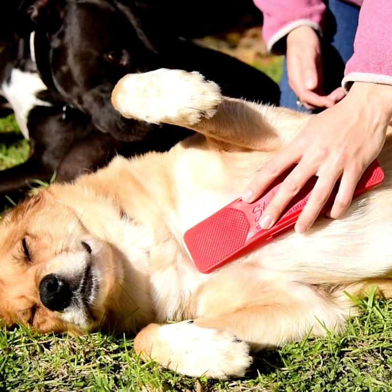 6 in 1 Gentle Groomer - Massagehaarbürste für Haustiere - ByCheri