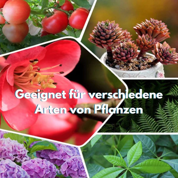 EcoBloom™️ | Bringen Sie Ihre Pflanzen mühelos zum Blühen - ByCheri