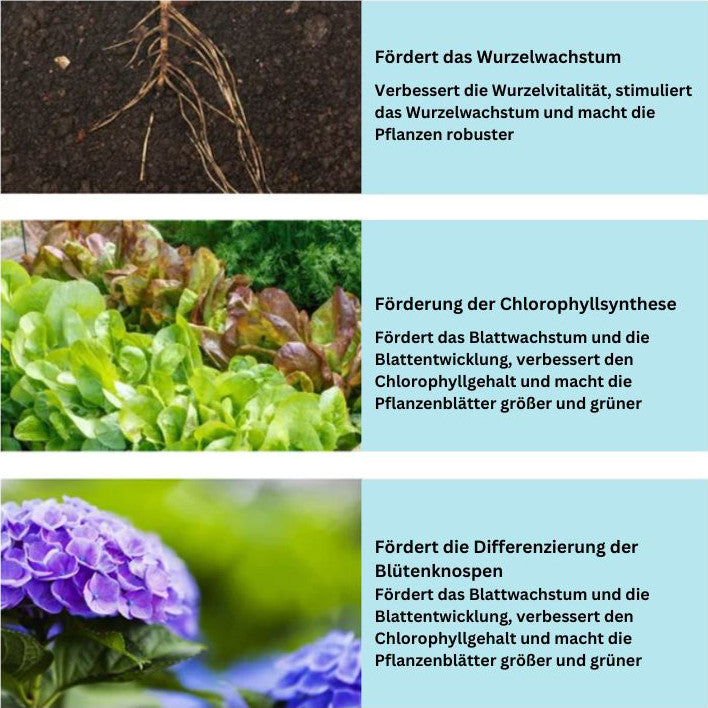 EcoBloom™️ | Bringen Sie Ihre Pflanzen mühelos zum Blühen - ByCheri