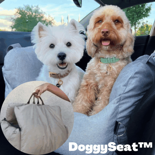 DoggySeat™- Halten Sie Ihren pelzigen Freund sicher und geschützt! - ByCheri